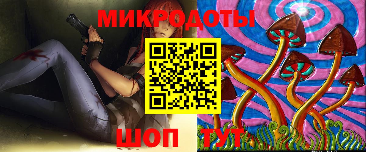 Псилоцибиновые грибы Psilocybe  Вход с VPN  Озёрск 